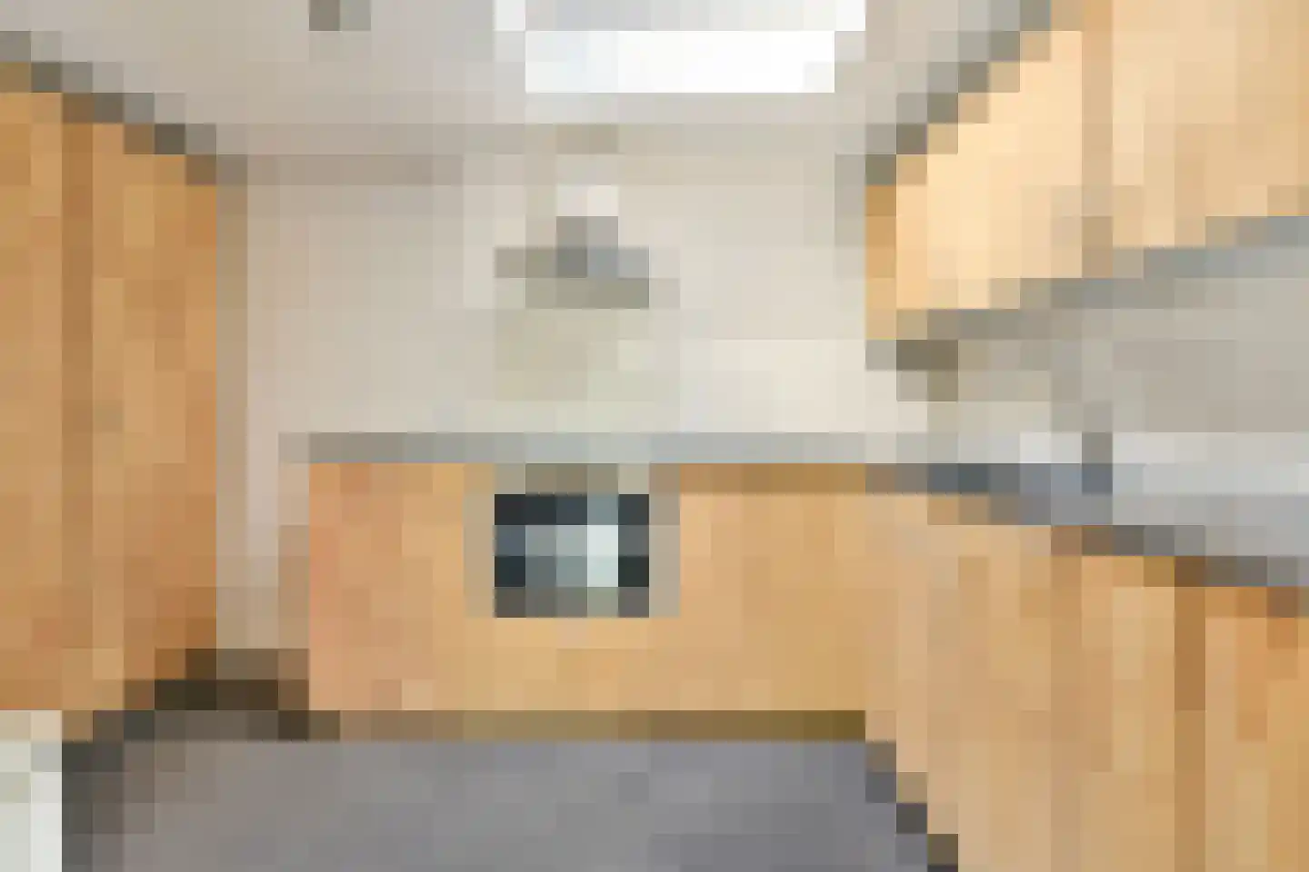 Zijlsingel 64 Leiden thumbnail 7