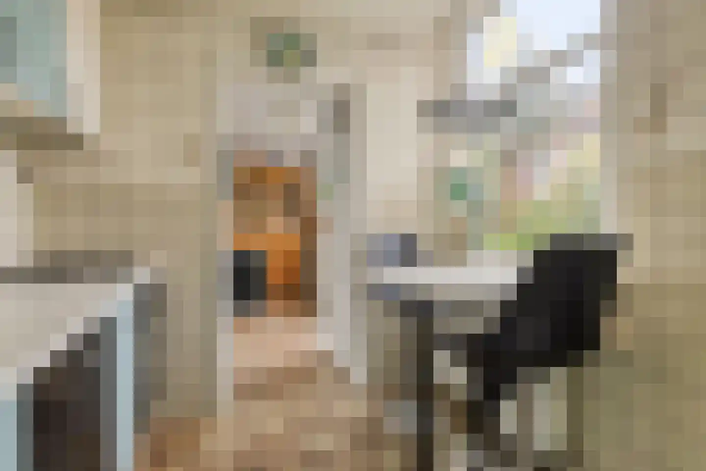 Zijlsingel 73 Leiden thumbnail 19