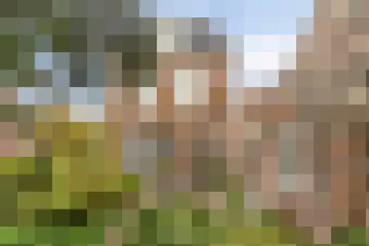 Zijlsingel 73 Leiden thumbnail 39