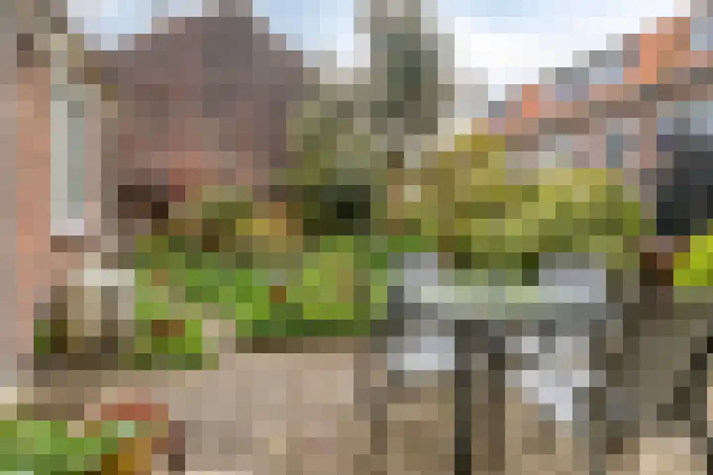 Zijlsingel 73 Leiden thumbnail 40