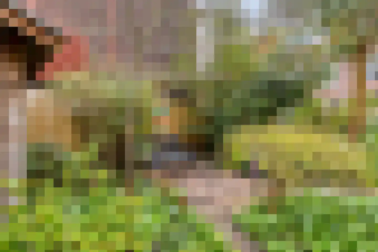 Zijlsingel 73 Leiden thumbnail 43