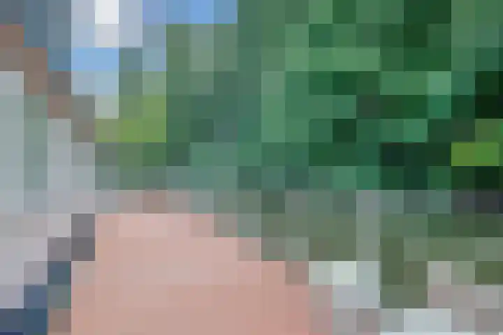 Zijlsingel 87 A Leiden thumbnail 30