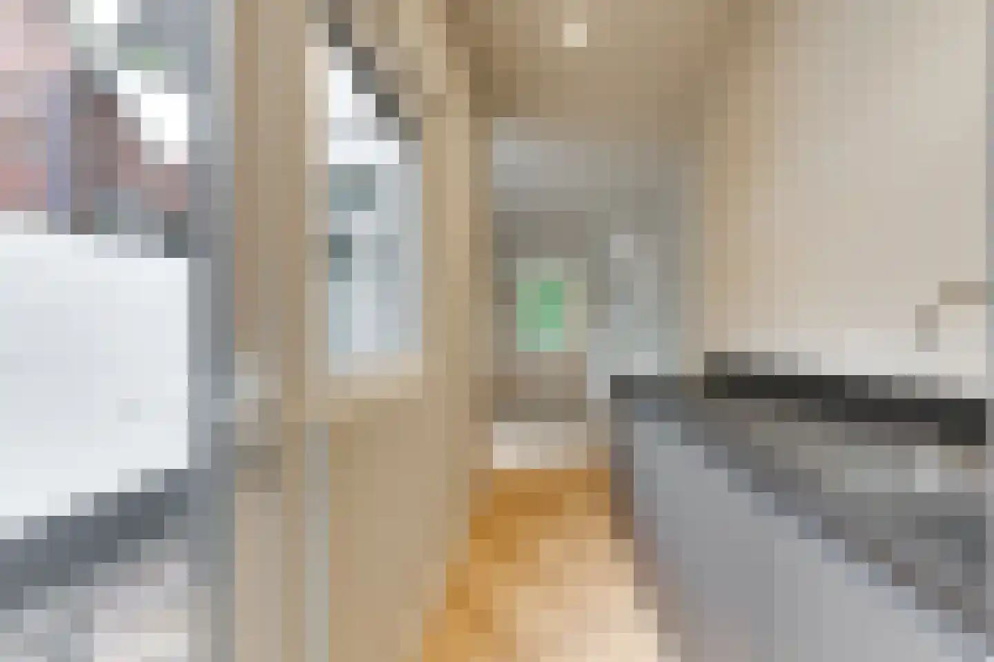 Zijlsingel 87 Leiden thumbnail 17