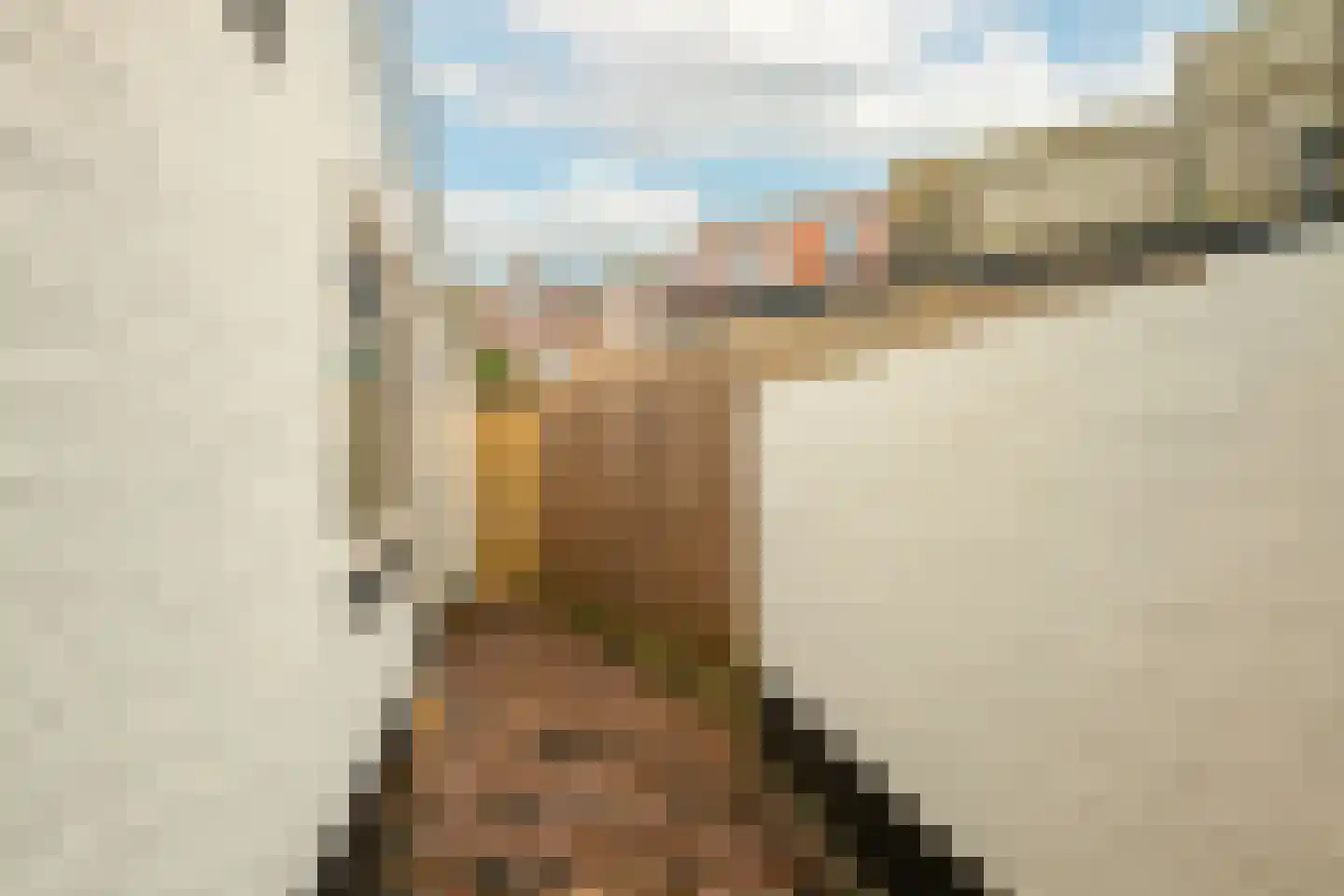 Zijlsingel 87 Leiden thumbnail 20