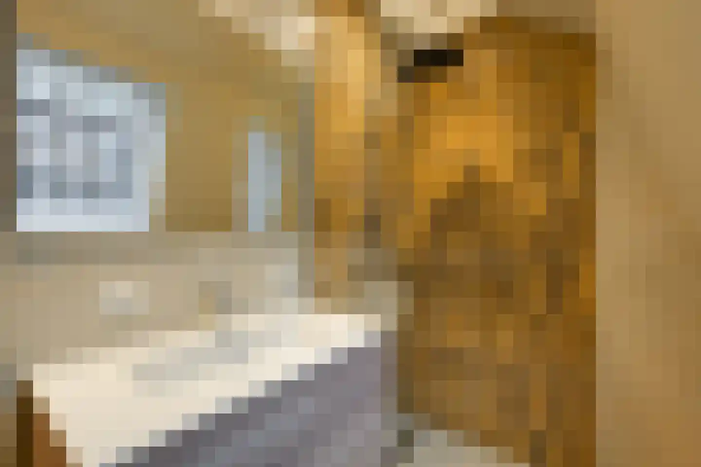 Zijlsingel 87 Leiden thumbnail 5