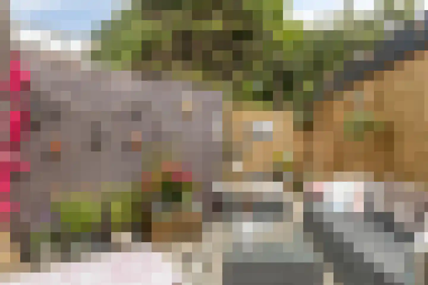 Zijlsingel 89 Leiden thumbnail 20