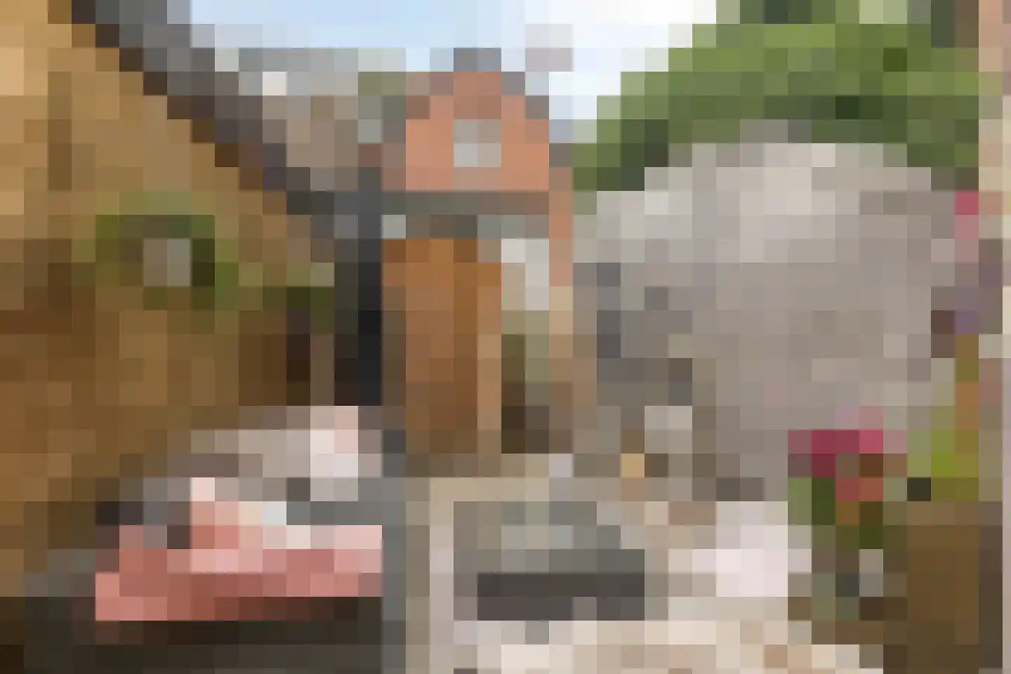 Zijlsingel 89 Leiden thumbnail 21