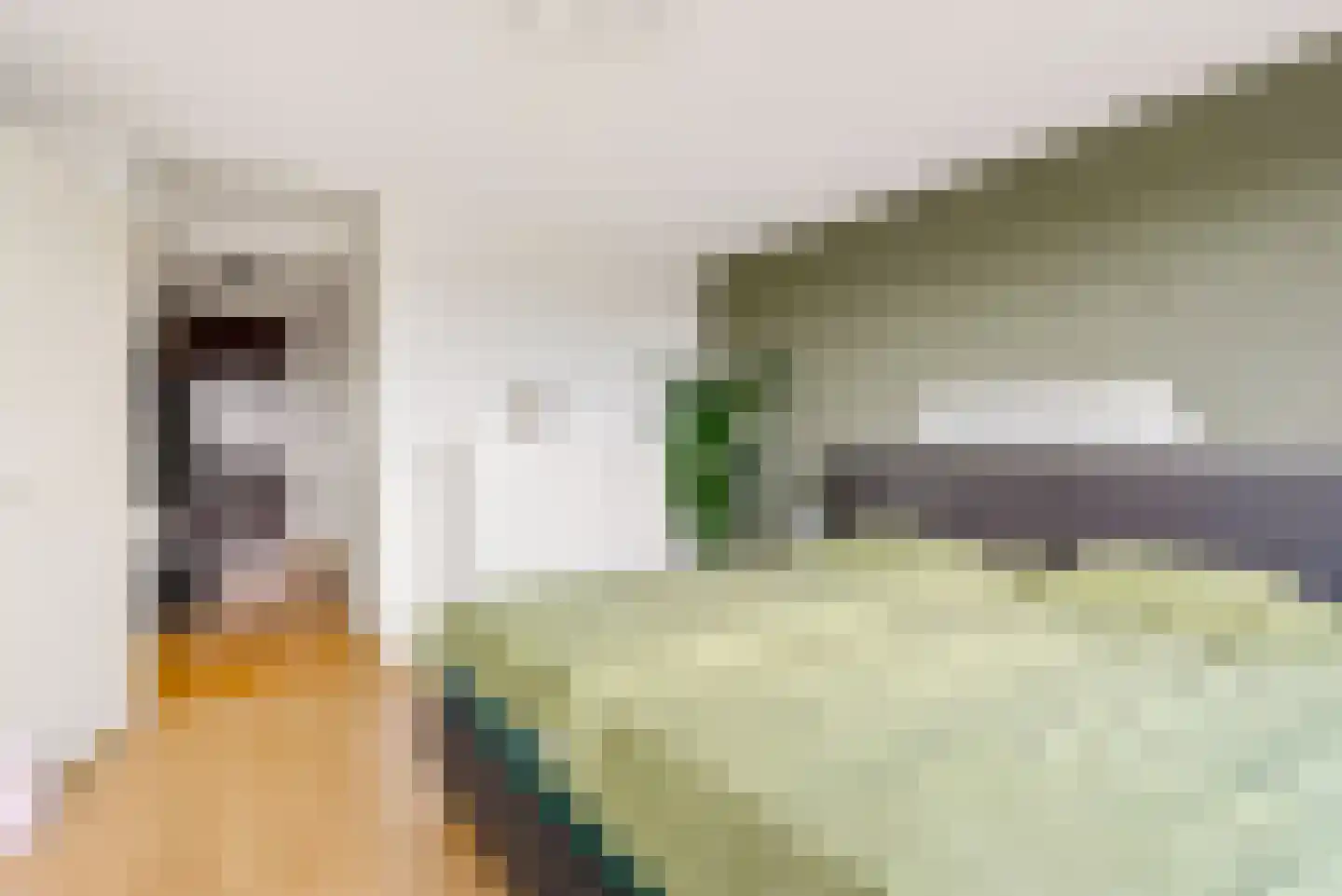 Zijlsterraklaan 24 Utrecht thumbnail 21