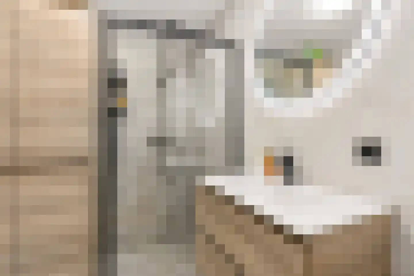 Zijlsterraklaan 24 Utrecht thumbnail 22