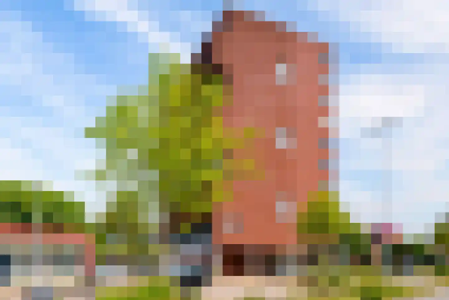 Zijlsterraklaan 24 Utrecht thumbnail 26