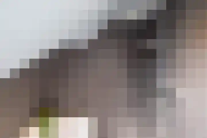 Zijlsterweg 28 Usquert thumbnail 39