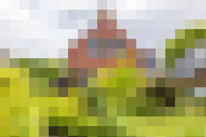 Zijlsterweg 28 Usquert thumbnail 4
