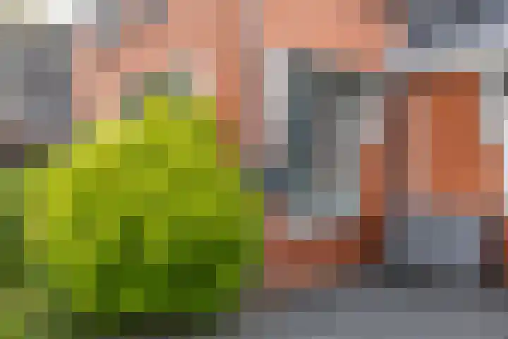 Zijlsterweg 28 Usquert thumbnail 42