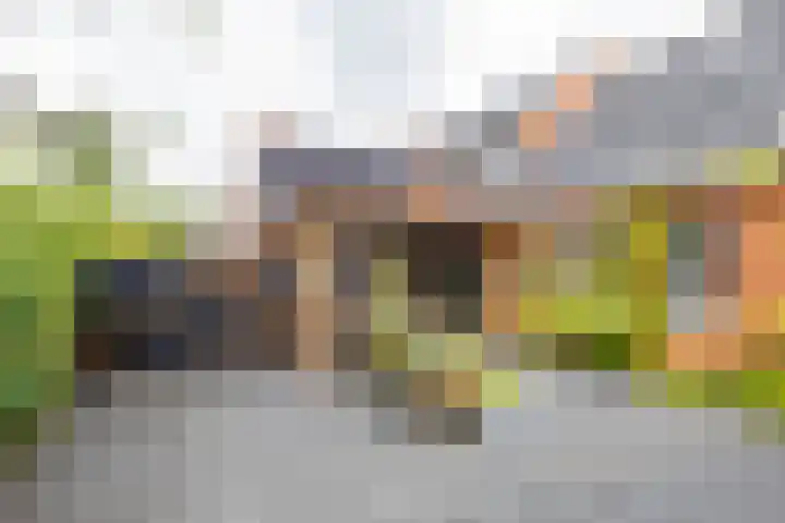Zijlsterweg 28 Usquert thumbnail 47