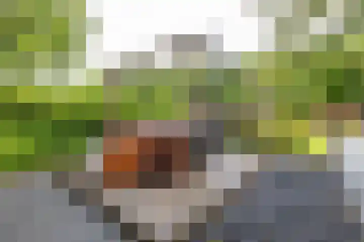 Zijlsterweg 28 Usquert thumbnail 48