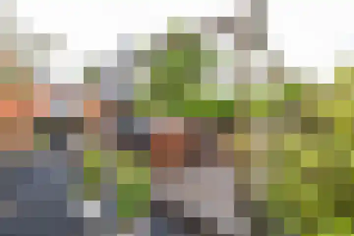 Zijlsterweg 28 Usquert thumbnail 49