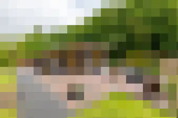 Zijlsterweg 28 Usquert thumbnail 50