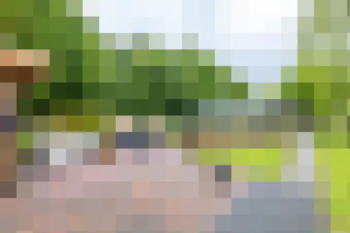 Zijlsterweg 28 Usquert thumbnail 55