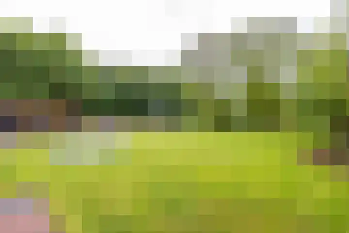 Zijlsterweg 28 Usquert thumbnail 56