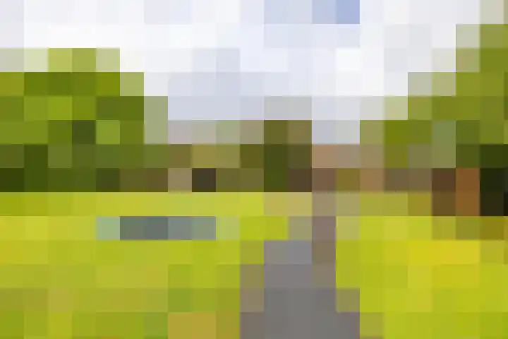 Zijlsterweg 28 Usquert thumbnail 57