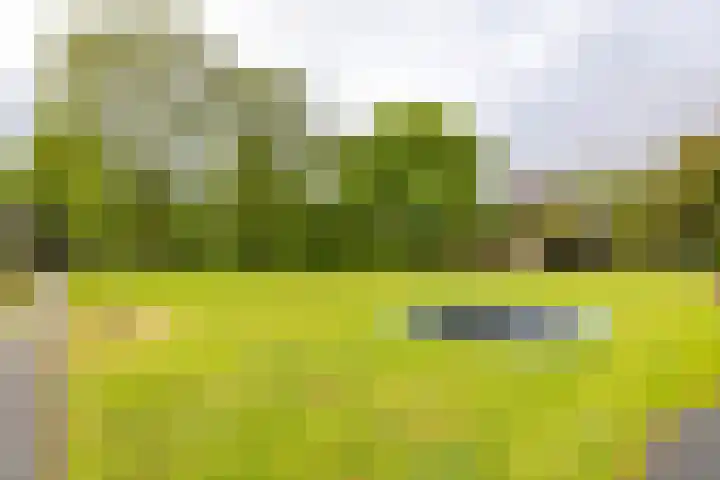 Zijlsterweg 28 Usquert thumbnail 58