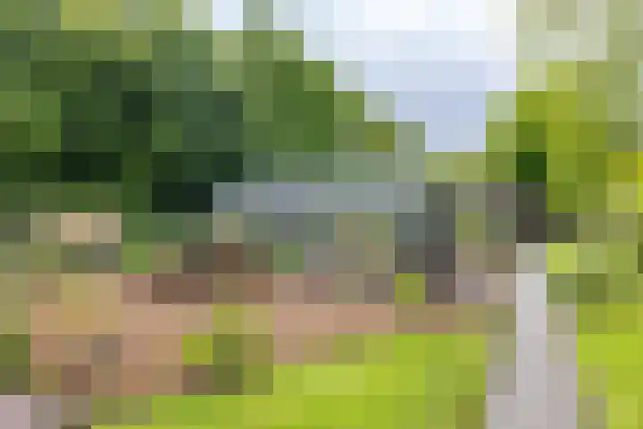 Zijlsterweg 28 Usquert thumbnail 59