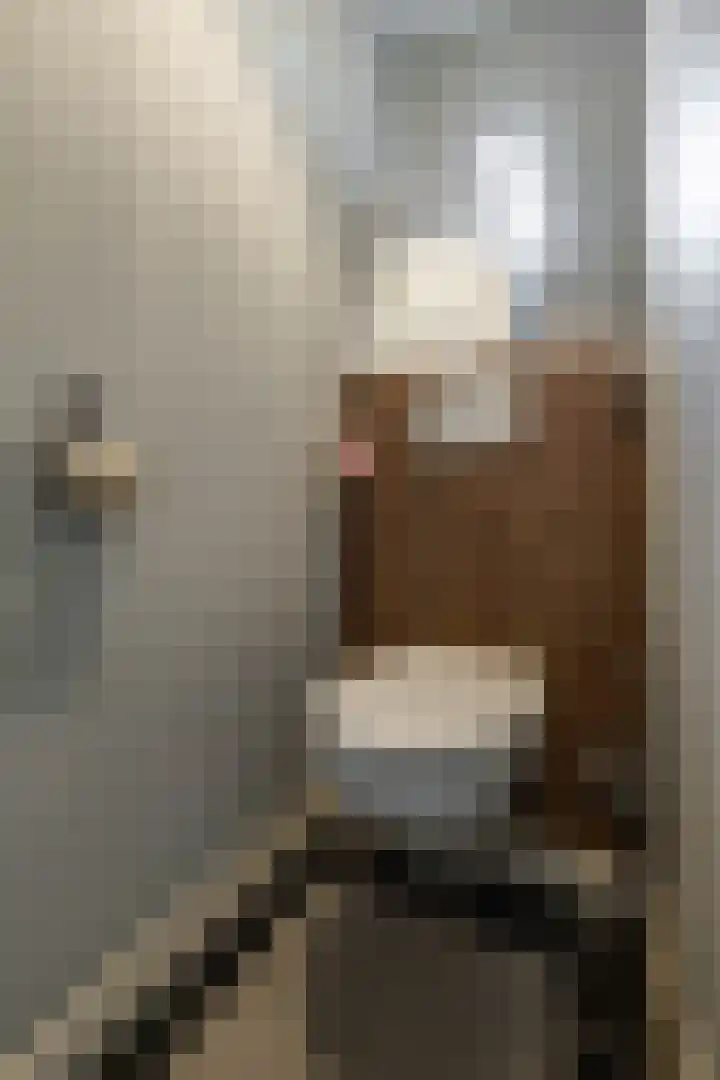 Zijlsterweg 28 Usquert thumbnail 6