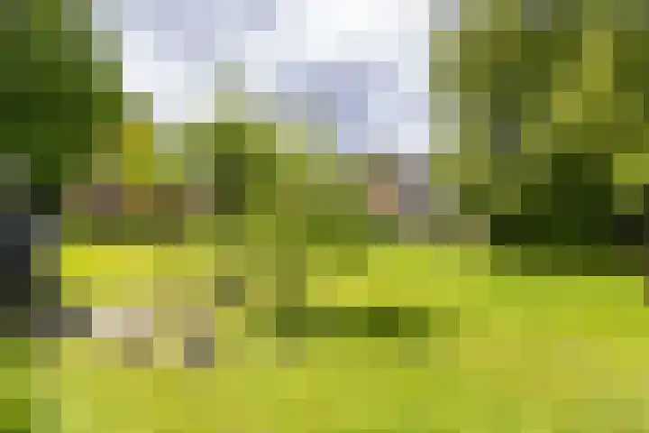 Zijlsterweg 28 Usquert thumbnail 61