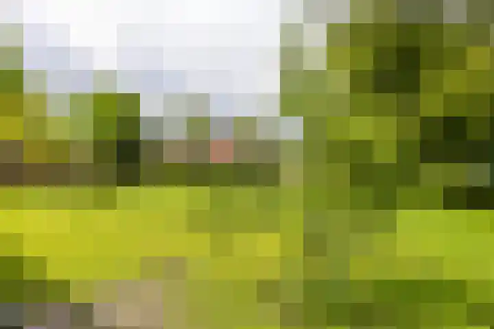 Zijlsterweg 28 Usquert thumbnail 62