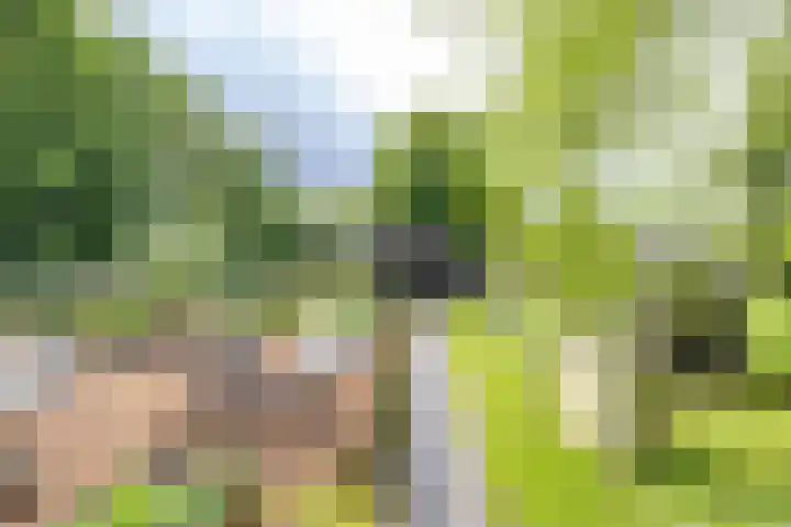 Zijlsterweg 28 Usquert thumbnail 63