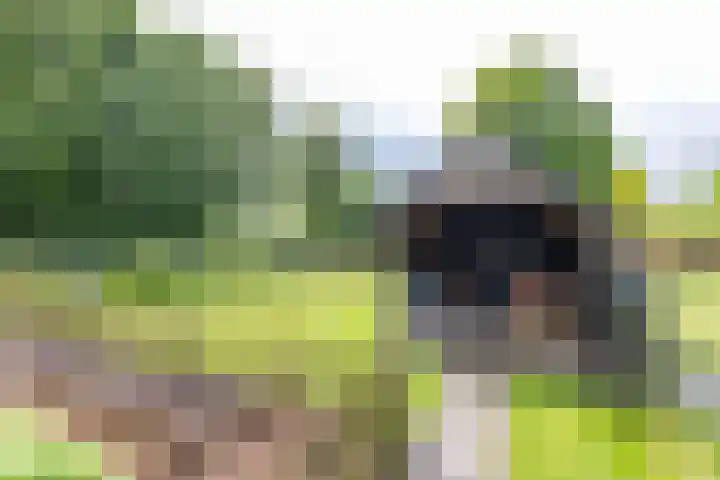 Zijlsterweg 28 Usquert thumbnail 64