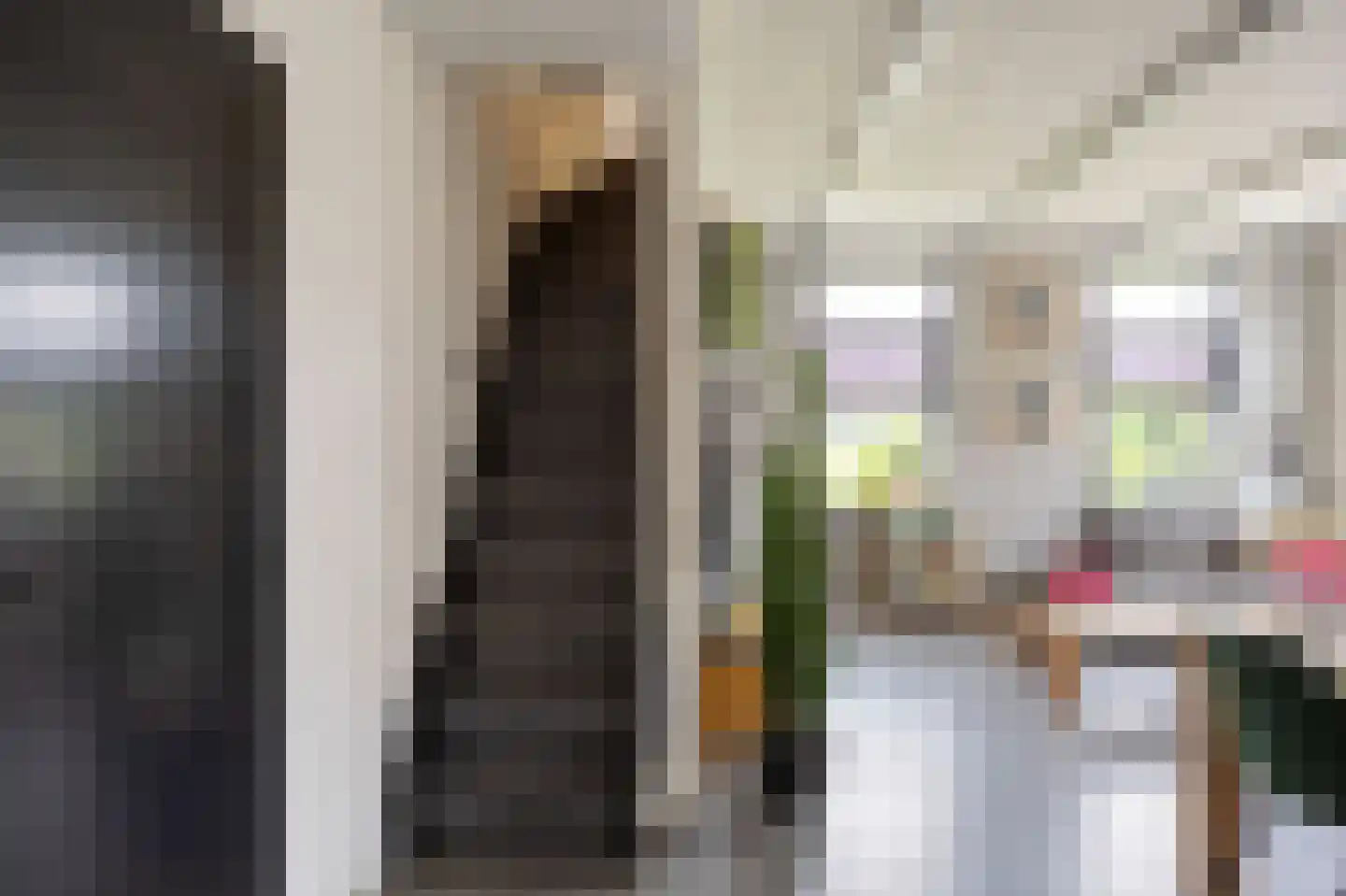 Zijlsterweg 61 Usquert thumbnail 22