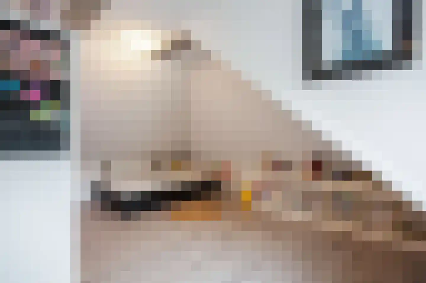 Zijlsterweg 61 Usquert thumbnail 40