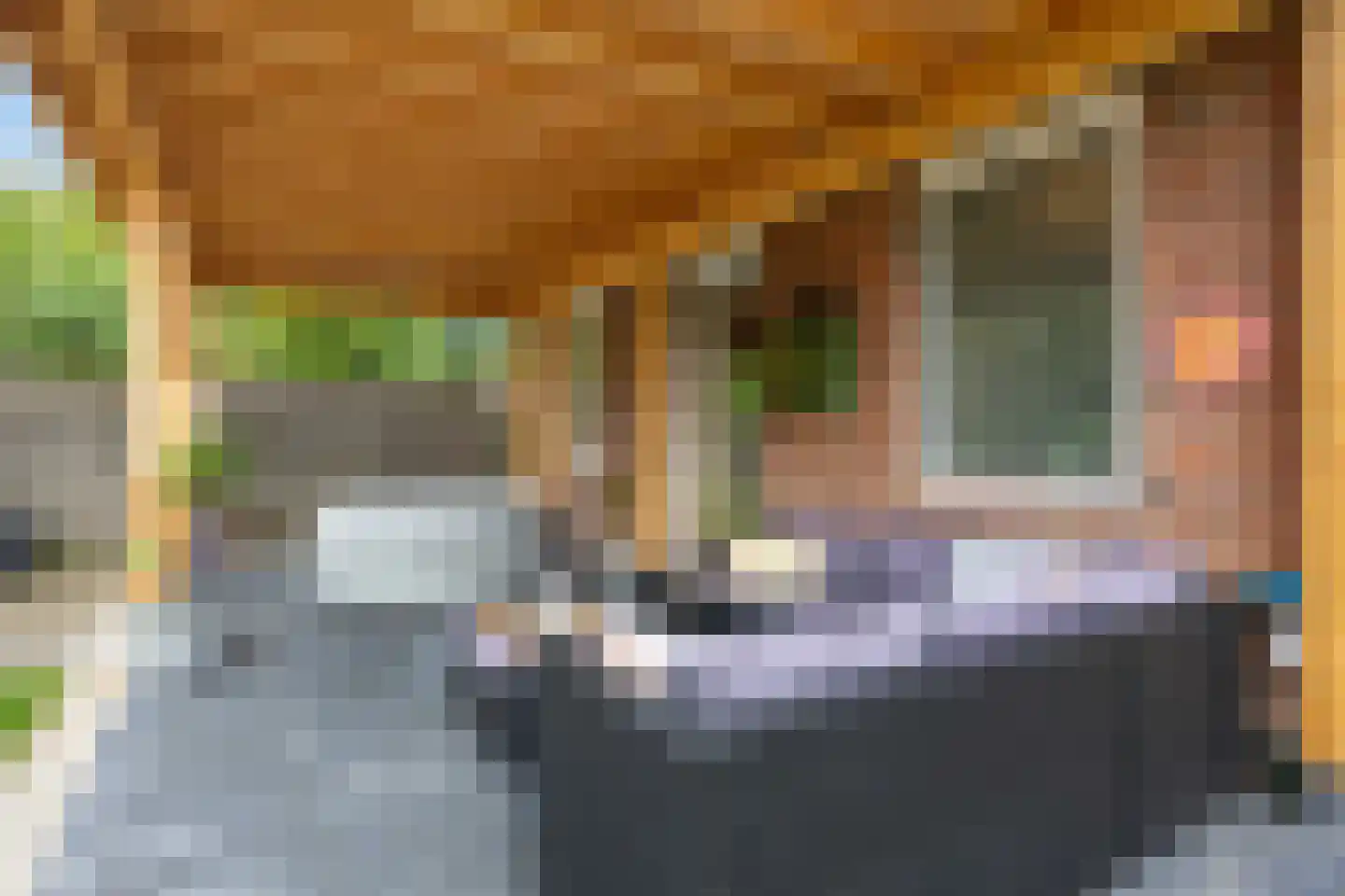 Zijlsterweg 61 Usquert thumbnail 50