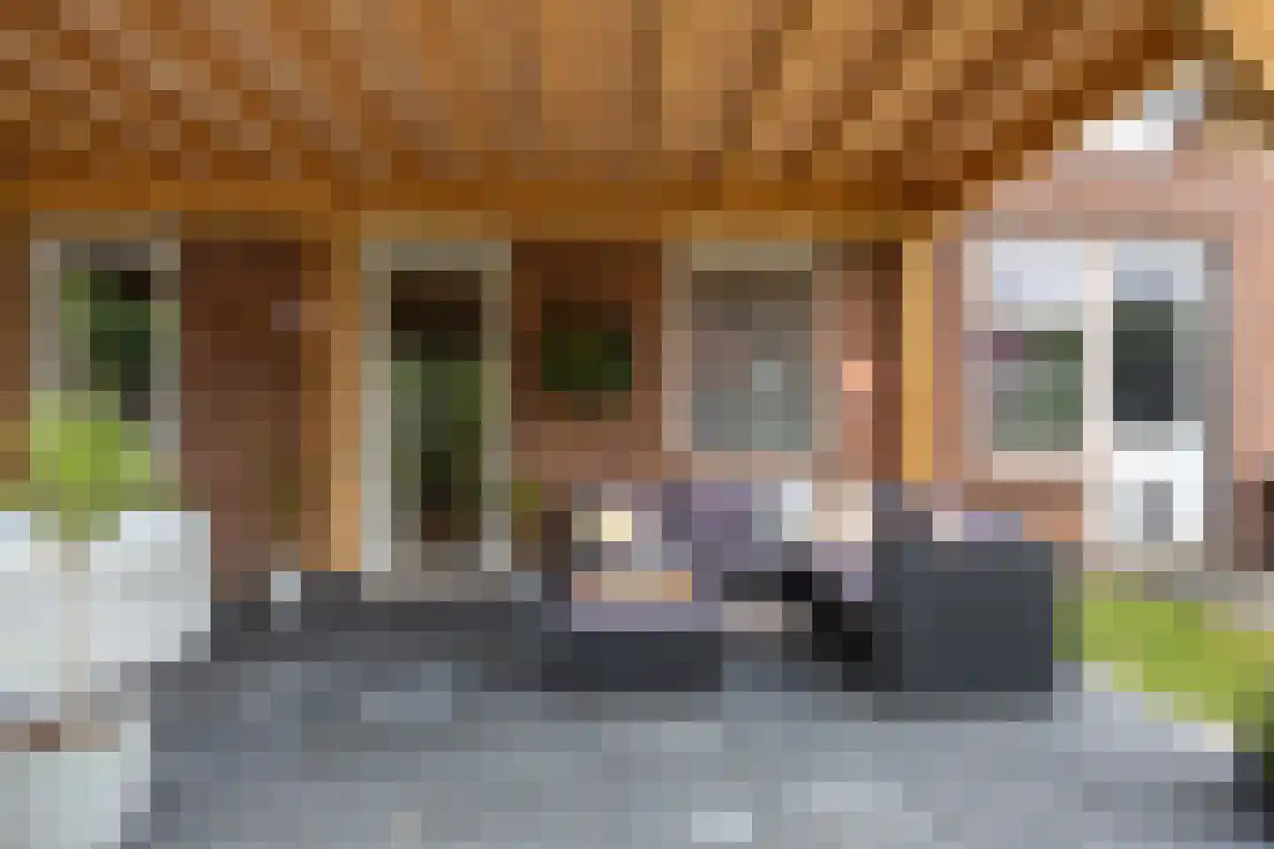 Zijlsterweg 61 Usquert thumbnail 51