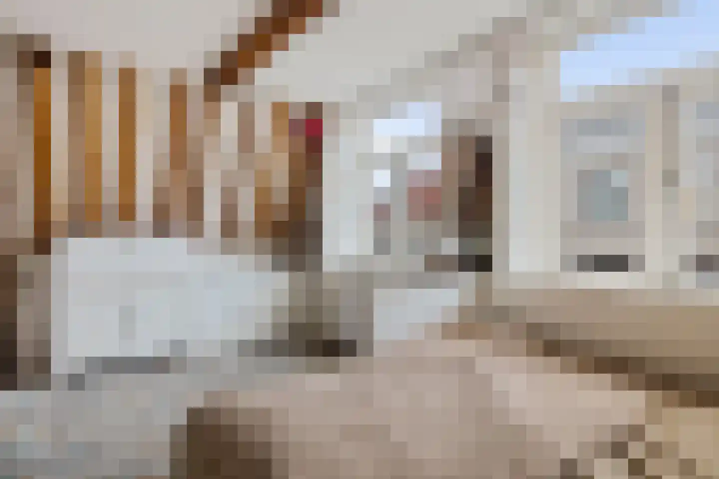 Zijlstraat 100 A Haarlem thumbnail 24