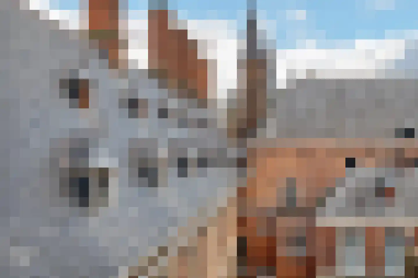 Zijlstraat 100 A Haarlem thumbnail 32