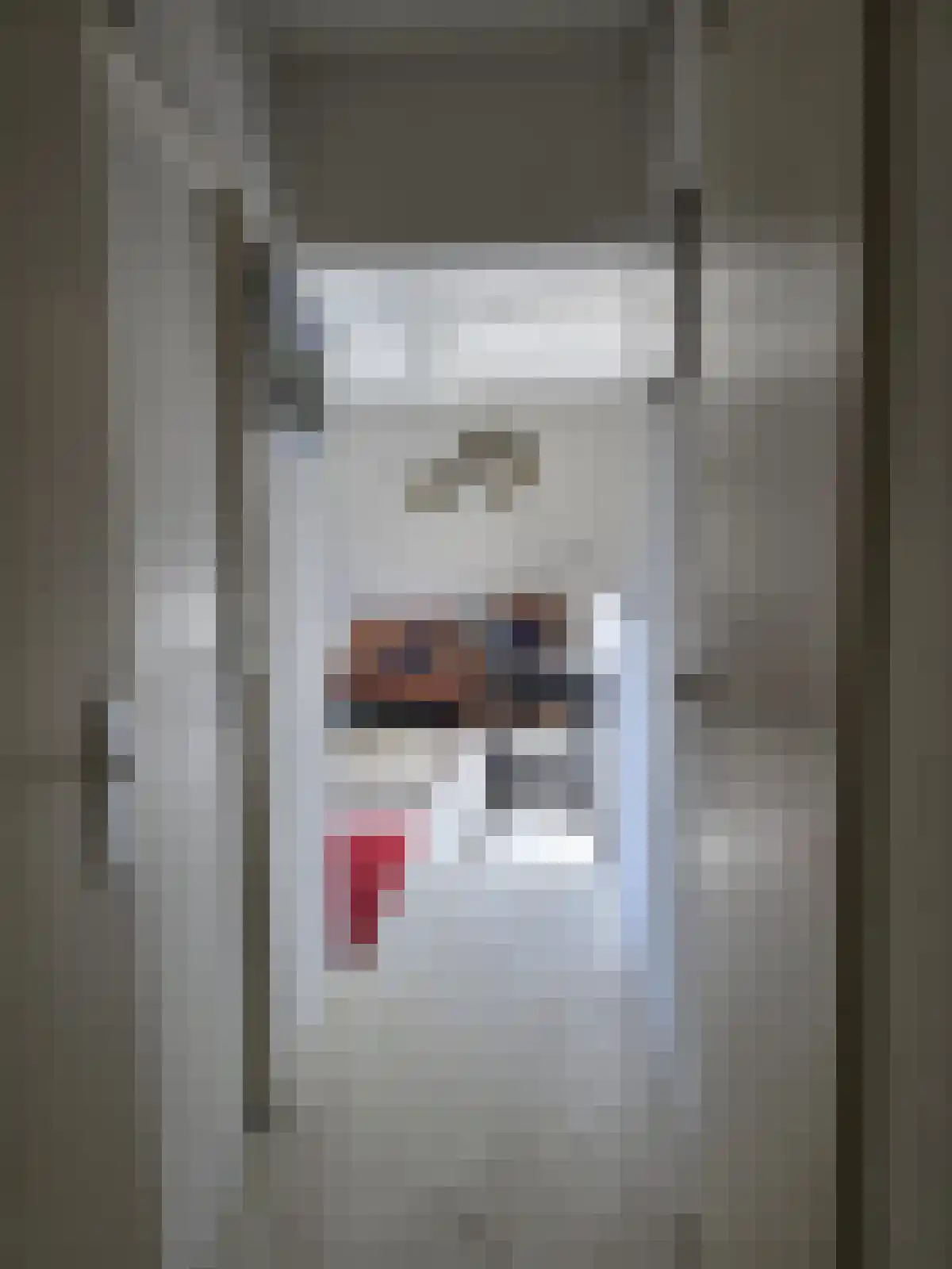 Zijlstraat 20 Breda thumbnail 5