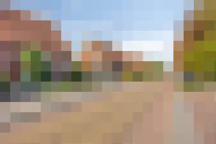 Zijlstraat 30 Heeswijk-Dinther thumbnail 32