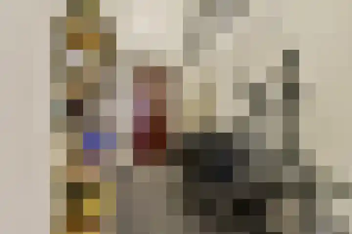 Zijlstraat 34 Spijkenisse thumbnail 10