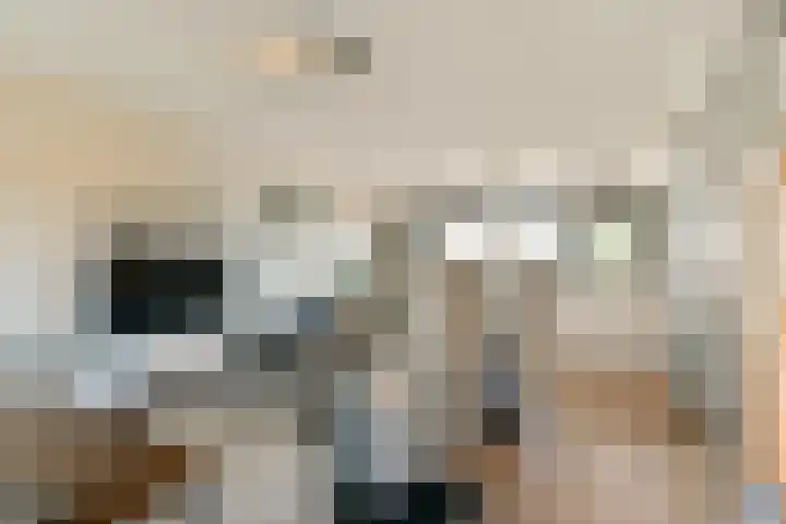 Zijlstraat 34 Spijkenisse thumbnail 14