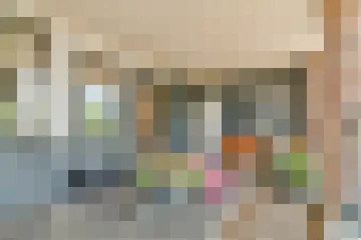 Zijlstraat 34 Spijkenisse thumbnail 17