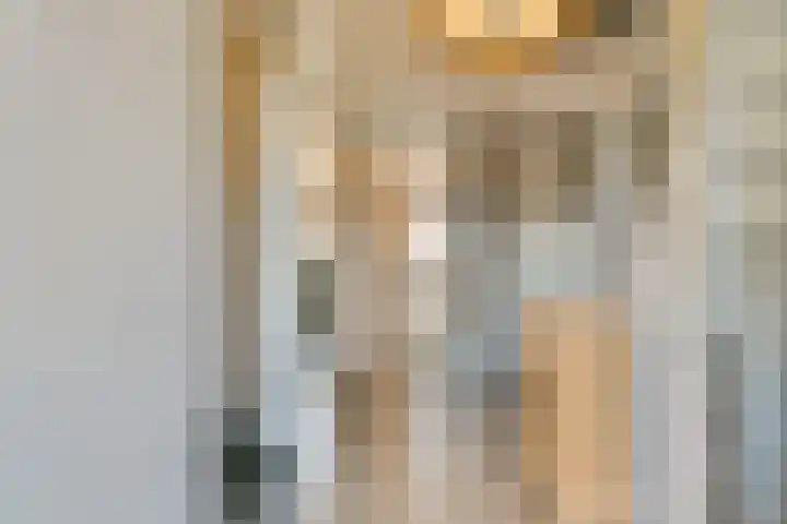 Zijlstraat 34 Spijkenisse thumbnail 19