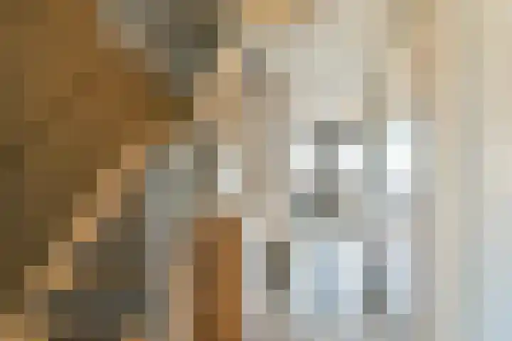 Zijlstraat 34 Spijkenisse thumbnail 20