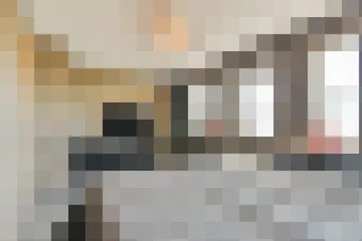 Zijlstraat 34 Spijkenisse thumbnail 22