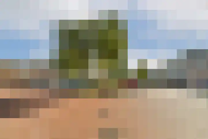 Zijlstraat 34 Spijkenisse thumbnail 32