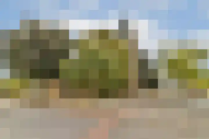 Zijlstraat 34 Spijkenisse thumbnail 33