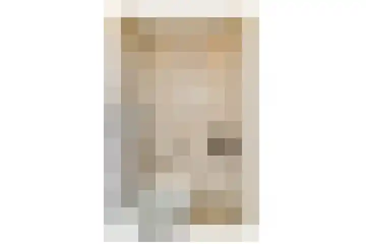 Zijlstraat 34 Spijkenisse thumbnail 8