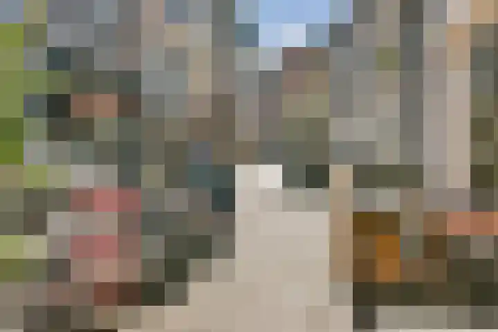 Zijlstraat 4 A Haarlem thumbnail 33