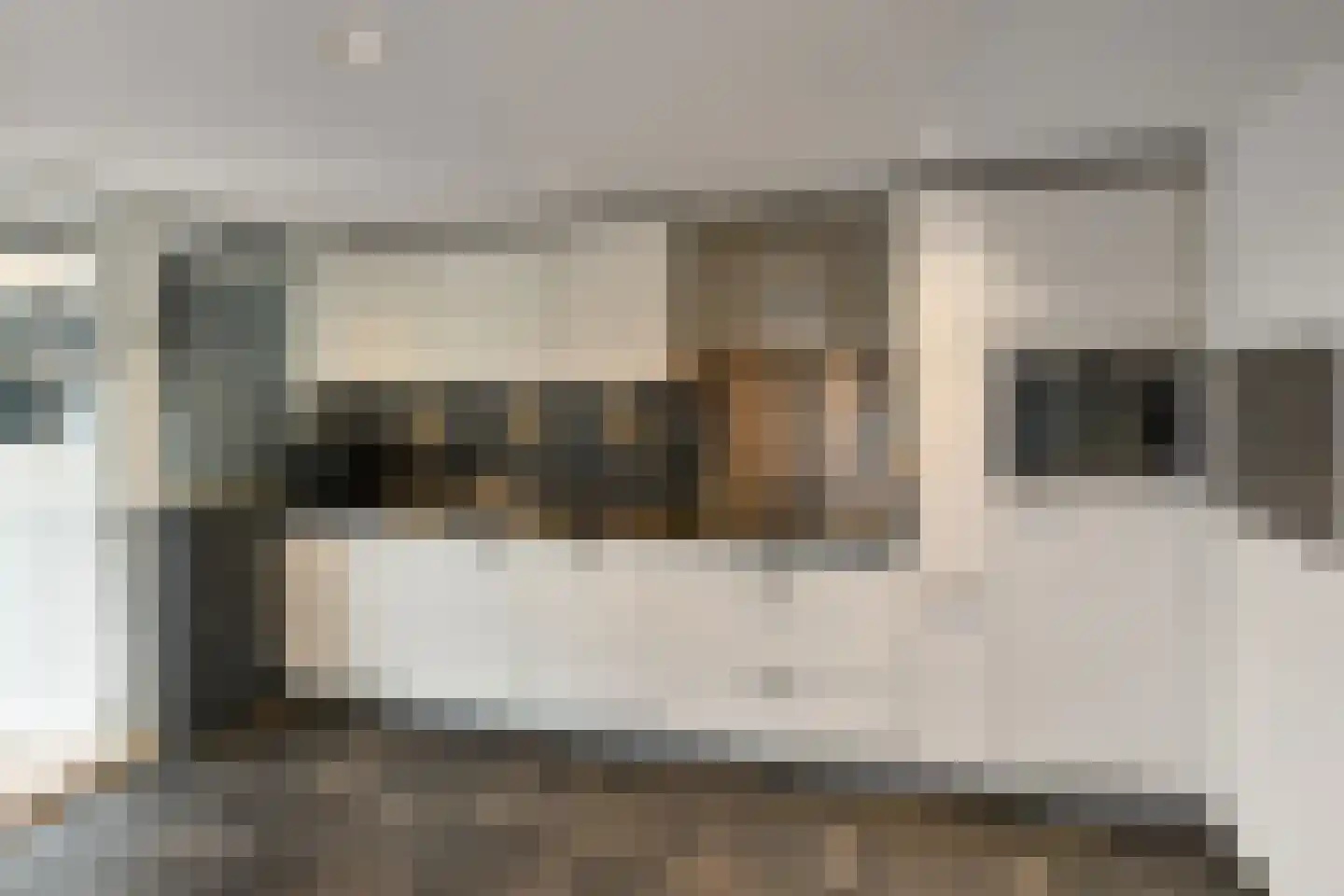 Zijlstraat 5 Elst thumbnail 11